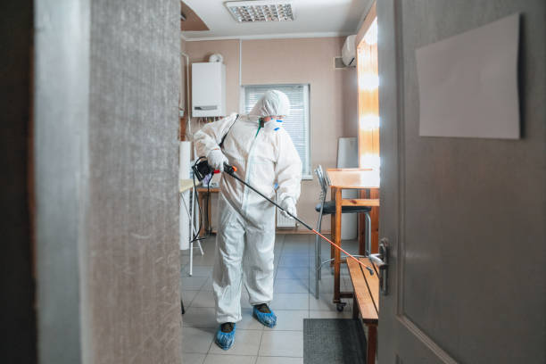 Best Real Estate Mold Inspection  in Royal Palm Beach, FL