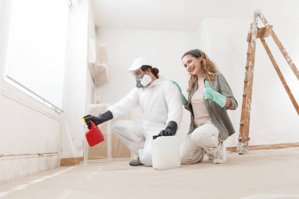 Best Asbestos and Lead Testing During Mold Inspection  in Royal Palm Beach, FL